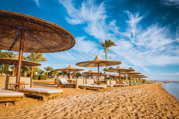 Relax under parasol on the beach of Red Sea, Egypt - obrazy, fototapety, plakaty
