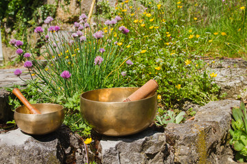 Two sized tibetan bowls in a garden with flowers