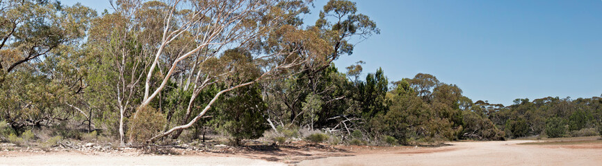 this is a panoramic view of Monarto