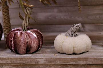  Pumpkins fabric. Halloween handmade pumpkins, tailoring. Space for text