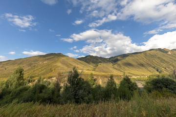 KAINDY LAKE – DER VERSUNKENE SEE, KASACHSTAN