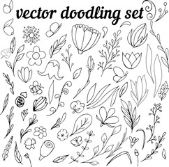 vector set of doodling flowers, twigs, cute drawings for kids