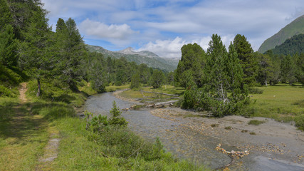 Fototapeta na wymiar Panoramica in alta montagna con fiume che scorre