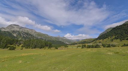 Fototapeta na wymiar Panorama di montagna con abeti e cielo blu