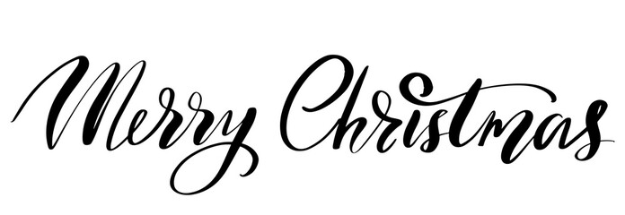 Vector hand drawn lettering phrases. Merry Christmas and Happy New Year