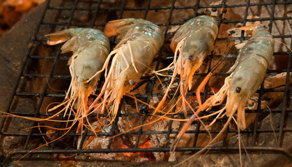 Orange shrimps on the stove