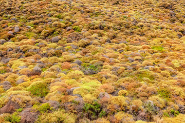 Nature of Aegean islands - Lemnos - Greece