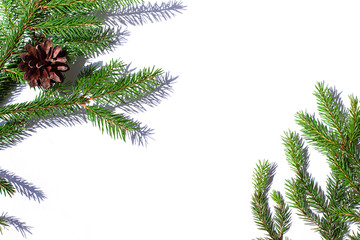 Christmas fir concept frame on the white sunny background. Copy space. Top view