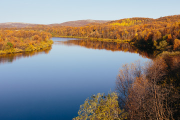 Beautiful river and colorful orange autumn trees of northern taiga on a sunny day at Kola Peninsula. Murmansk region, Russia. Nature landscape beyond the Arctic Circle