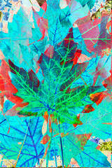 Buntes Ahornblatt abstrakt ,  liegend, Deutschland