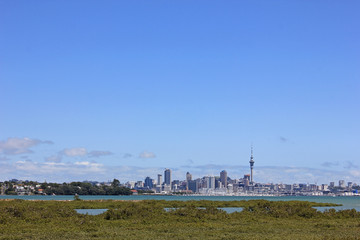 Aucklands skyline on a sunny day