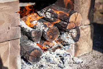 Open fire. Firewood is burning. Bonfire for cooking. Flames and coals.