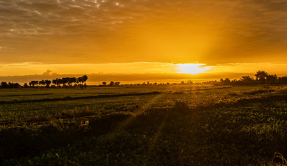Obraz premium Sunrise at farm