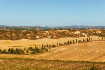 Fototapeta premium Typical landscapes for Siena Province in Tuscany, Italy. Cypress hills, plowed fields, roads and houses. Begining of autumn season.