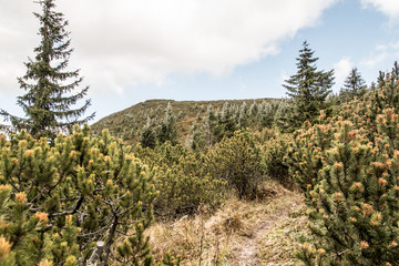 Krakova hola hill in autumn Nizke Tatry mountains in Slovakia © honza28683