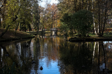 quiet corner in the park, pond and bridge, trees are reflected in the water