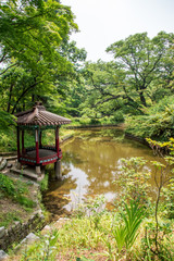 Naklejka premium Secret Garden