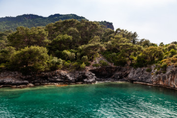 Naklejka premium View on the seashore with trees