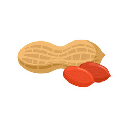 Peanut style flat isolated on white background.