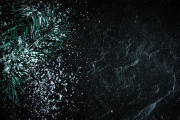 Fototapeta na wymiar Pine Tree Branch with Snow on Black Background