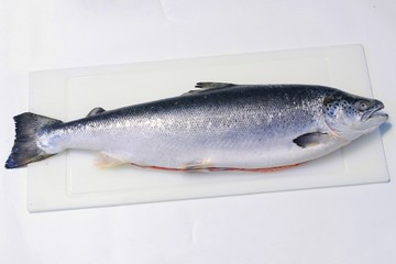 salmon fish on cutting board 