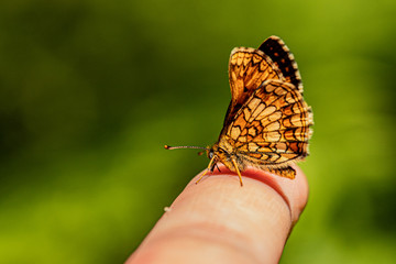 Nature