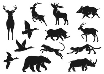 Birds and animals isolated silhouettes