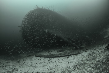 Wreck of SS Elise Schulte