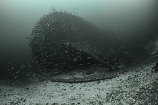 Wreck of SS Elise Schulte