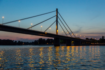 Liberty bridge over Danube in Novi Sad at blue hour.