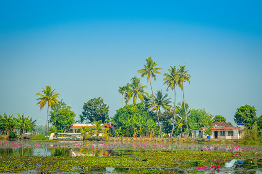 Village of Kerala, India