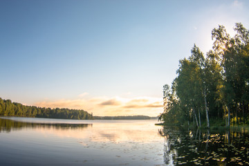 Summertime view on a lake surrounded with trees