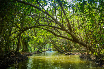 Poovar Island, Kerala, India