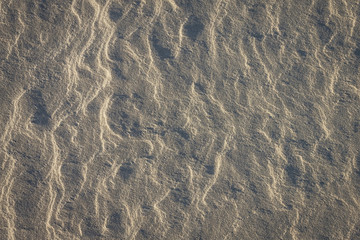 Gray abstract texture.