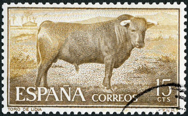 SPAIN - 1960: shows Lidian Bull, corrida, Fighting with muleta, 1960