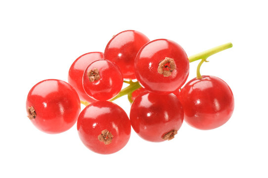 Johannisbeeren