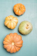Fresh pumpkins on a blue background