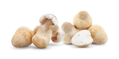 Straw mushrooms in thailand  isolated on white background. full depth of field