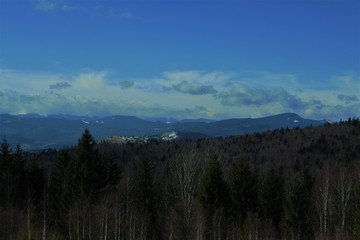  Carpathian landscape