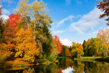 Autumn foliage in Pavlovsky park, Pavlovsk, Saint Petersburg