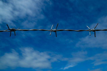 Barbed wire