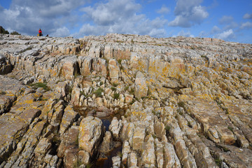 Skåne Küste an der Ostsee in Schweden vårhallen österlen	