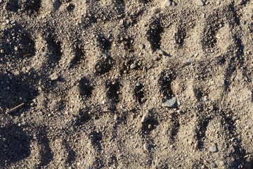 A close view of the sand surface texture on the beach.