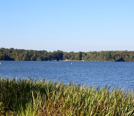 The view of the lake over the tall grass on the shore.