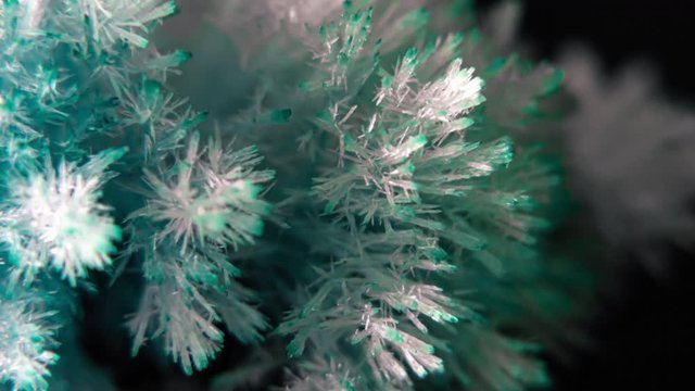 Ice Crystals Growing Time Lapse