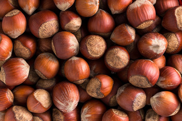 Hazelnuts. Stack of hazelnuts. Food background. Hazelnuts texture. Top view