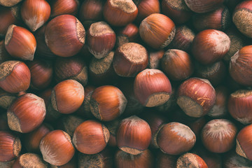 Hazelnuts. Stack of hazelnuts. Food background. Hazelnuts texture. Top view