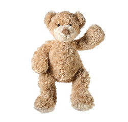 A Cute small Teddy bear isolated on white background 