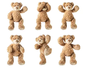 Poster Set of toy bear isolated on white background  © jnsepeliova