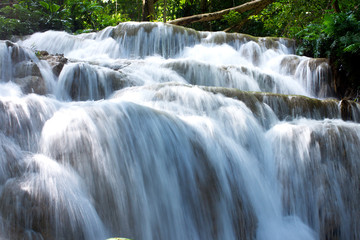 Waterfall in forest, Abundance of nature.